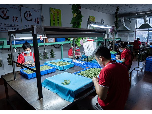 如何避免精密铸件常见缺陷